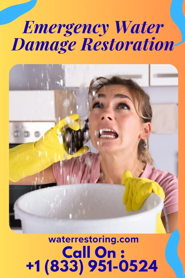 Emergency Water Damage Restoration in Norwalk, OH