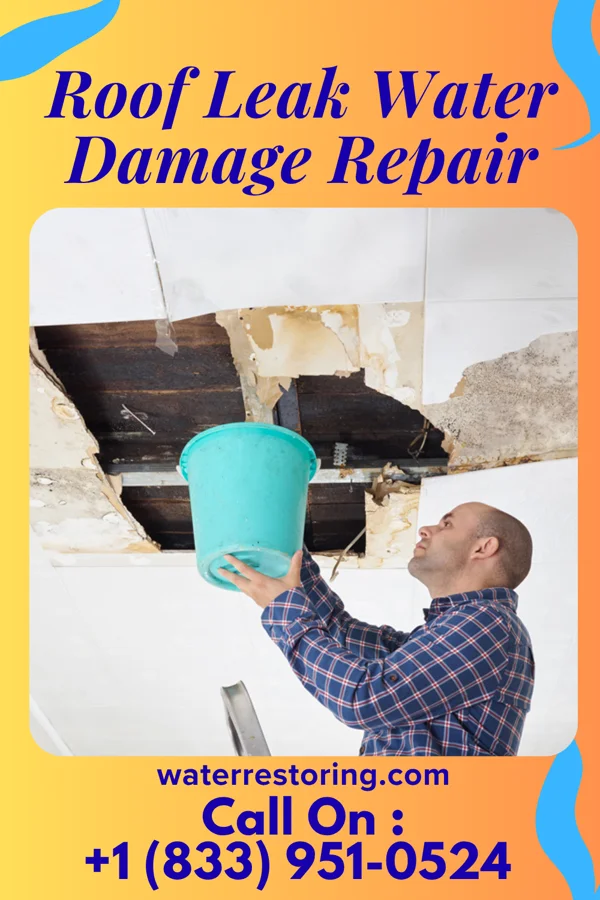 Roof Leak Water Damage Repair in Norwalk, OH