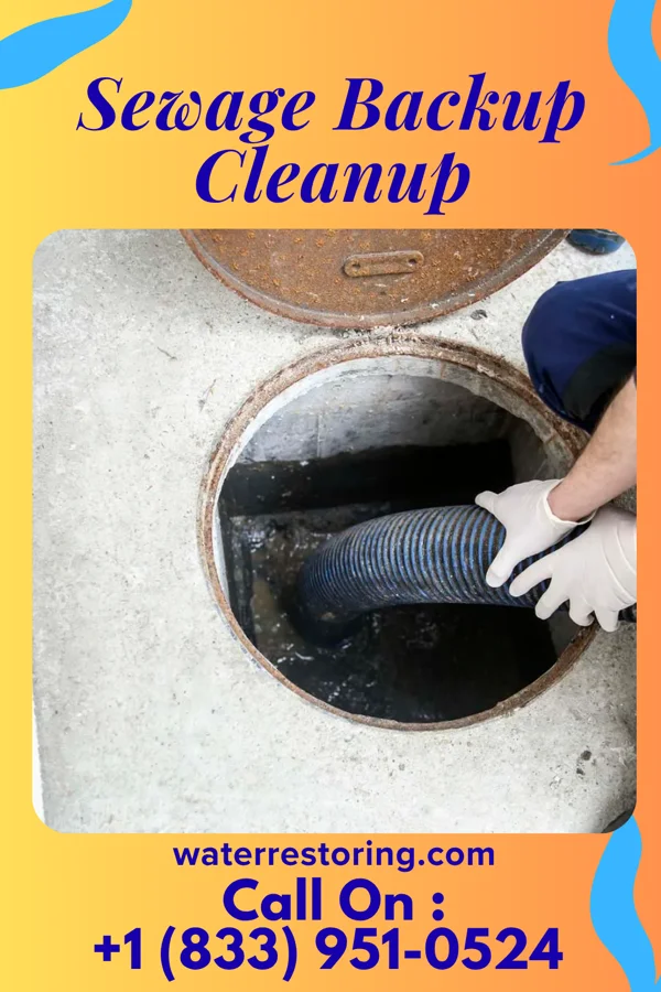 Sewage Backup Cleanup in Norwalk, OH