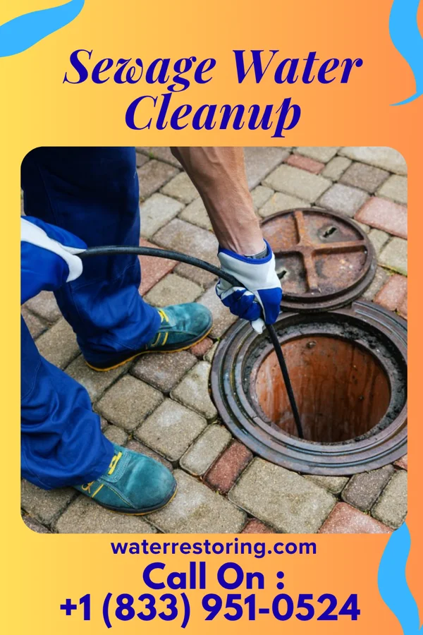 Sewage Water Cleanup in Norwalk, OH